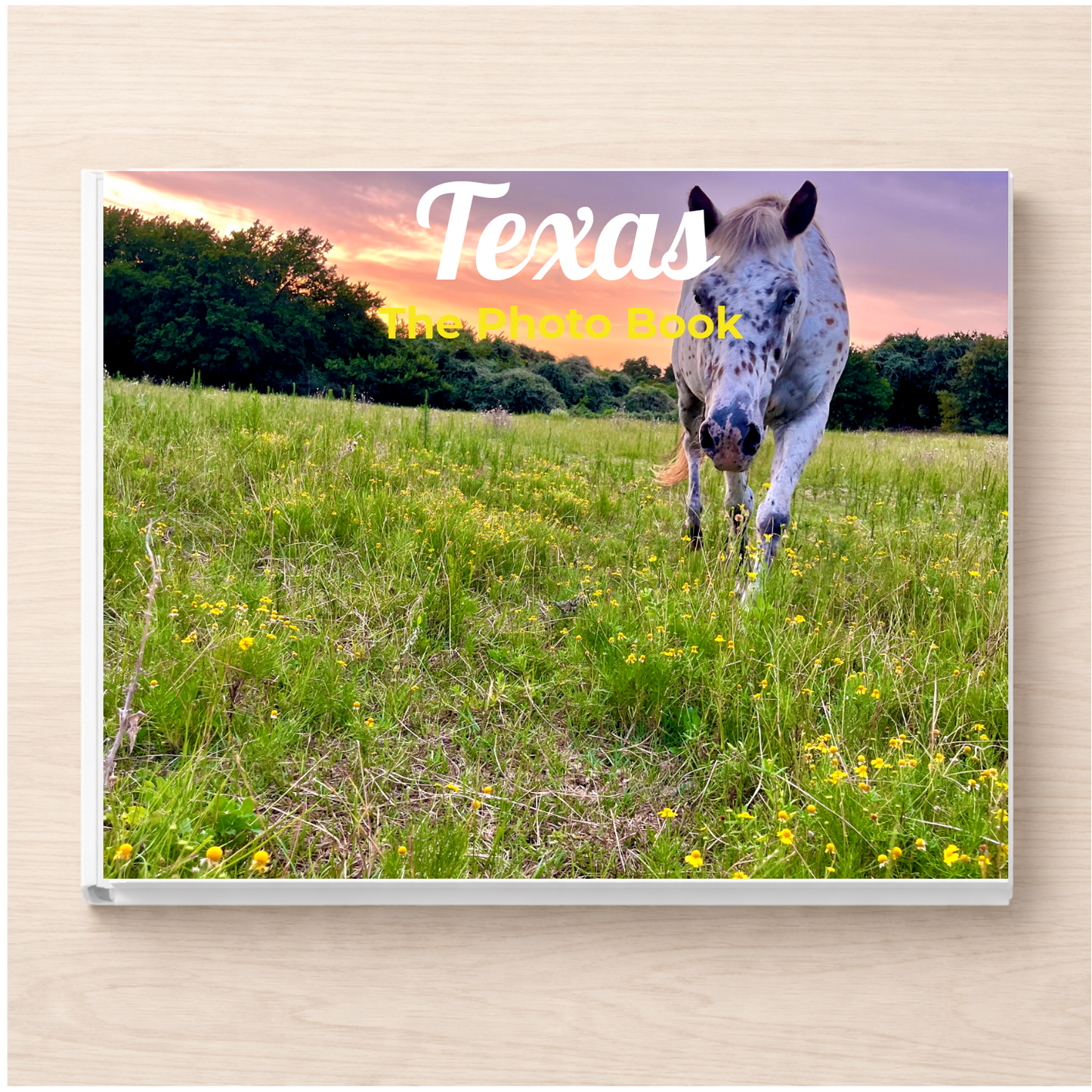 Texas: The Photo Book
