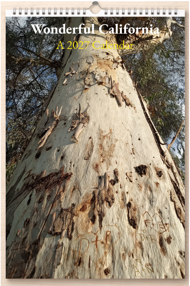 Wonderful California: A 2027 Calendar