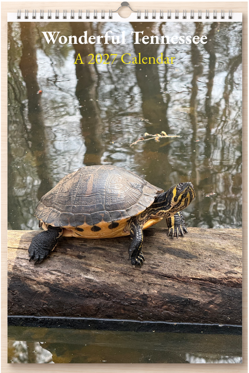 Wonderful Tennessee: A 2027 Calendar