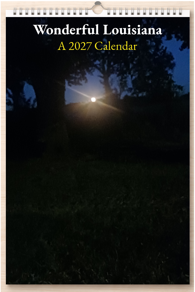 Wonderful Louisiana: A 2027 Calendar