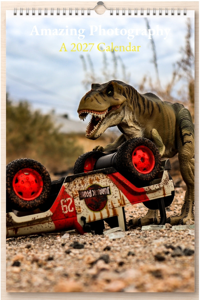 Amazing Photography: A 2027 Calendar