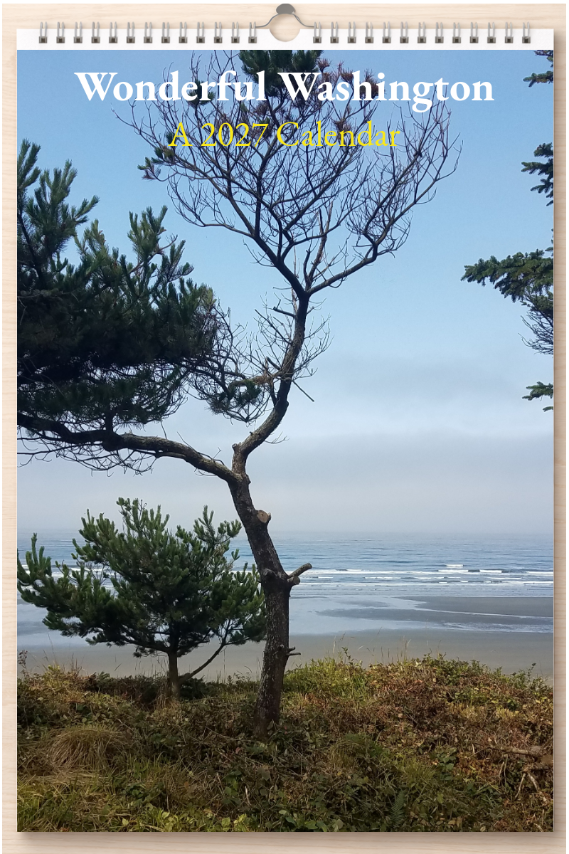 Wonderful Washington: A 2027 Calendar