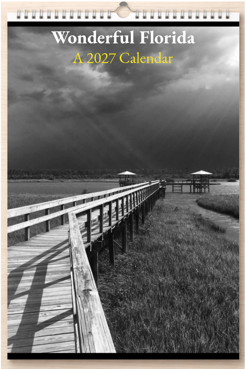 Wonderful Florida: A 2027 Calendar