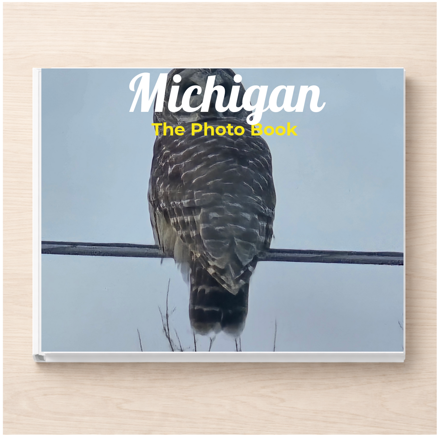 Michigan: The Photo Book