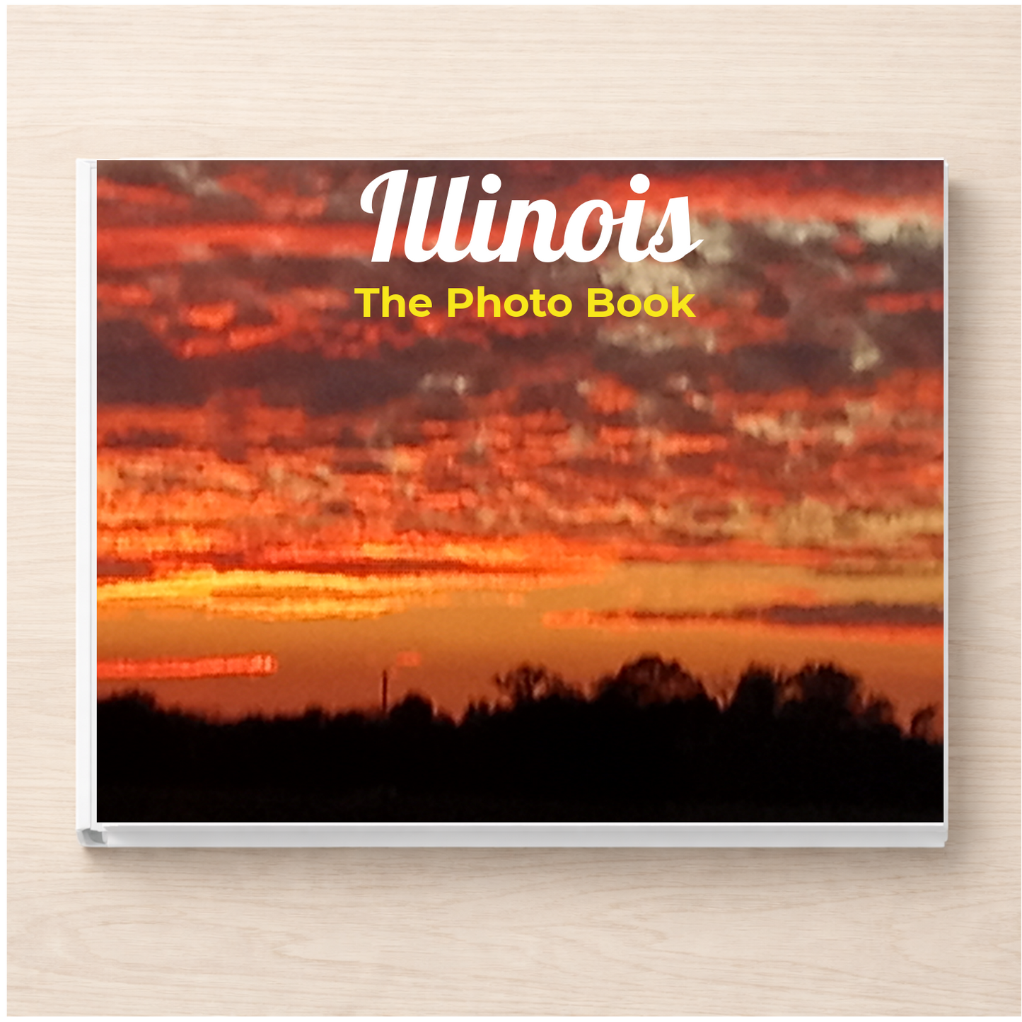 Illinois: The Photo Book