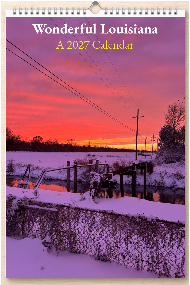 Wonderful Louisiana: A 2027 Calendar