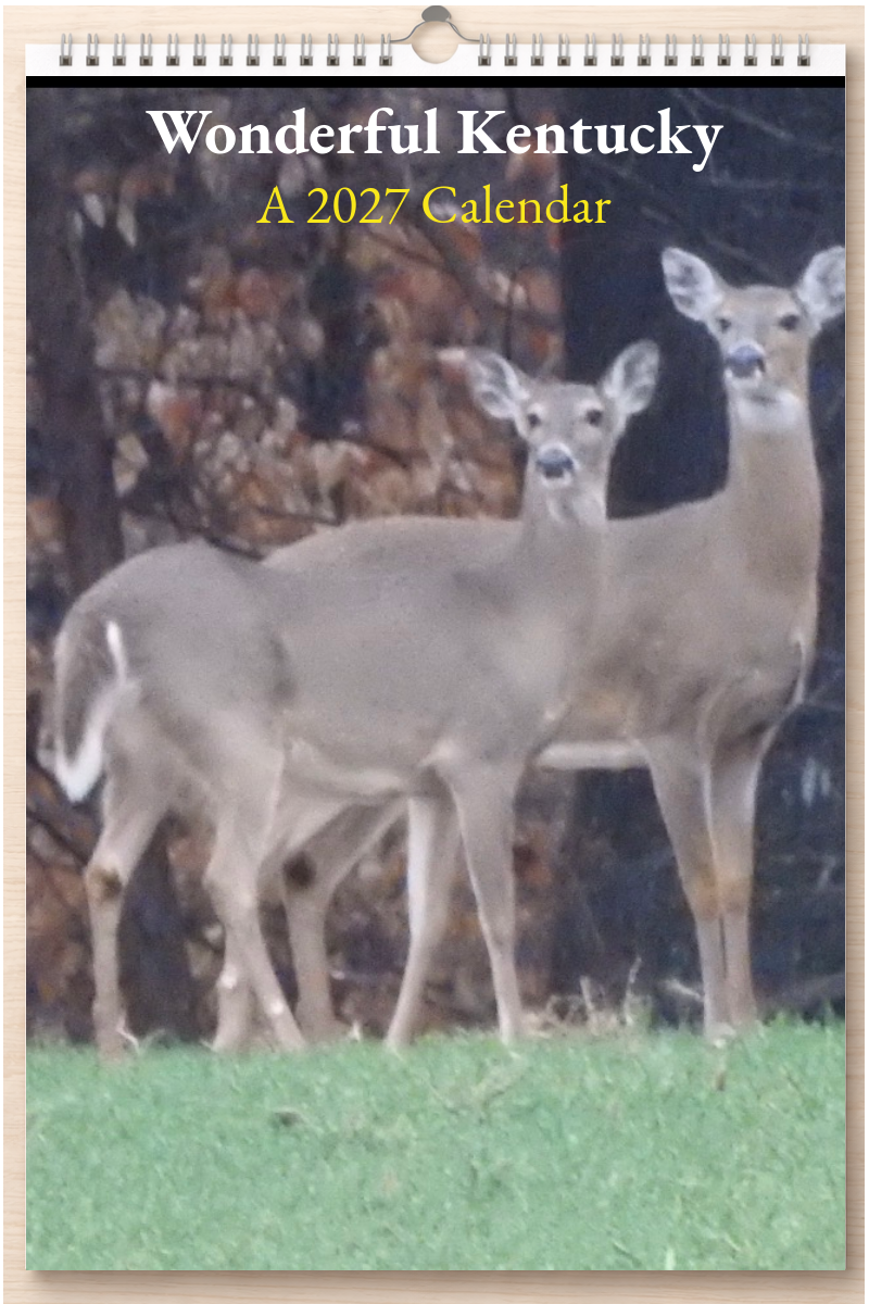 Wonderful Kentucky: A 2027 Calendar