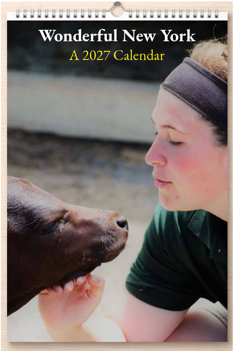 Wonderful New York: A 2027 Calendar