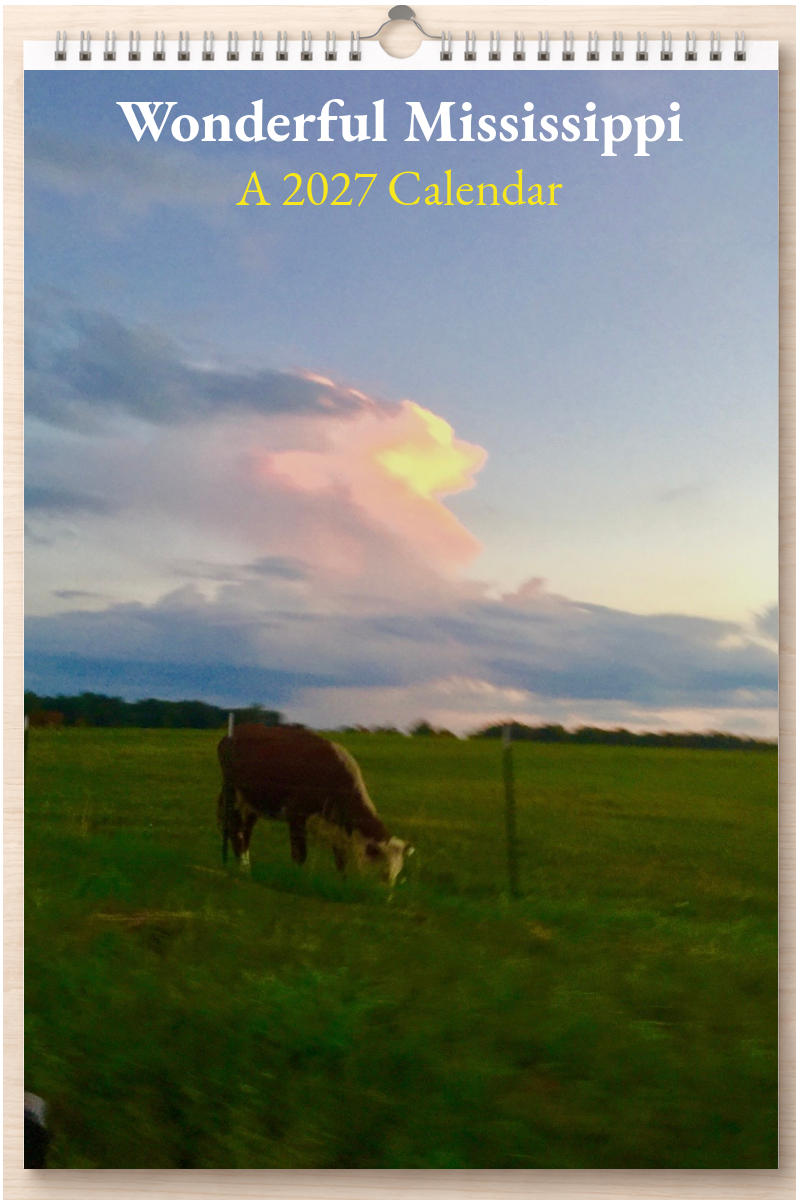Wonderful Mississippi: A 2027 Calendar