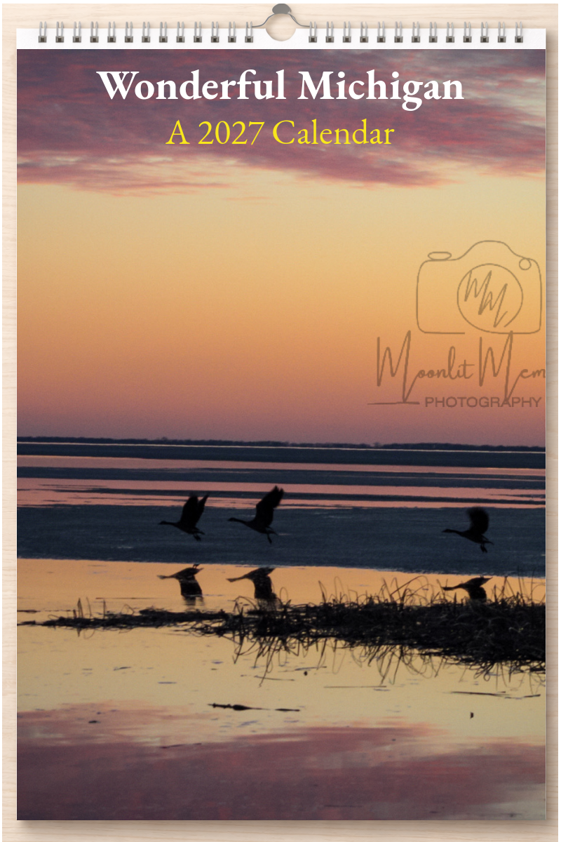Wonderful Michigan: A 2027 Calendar