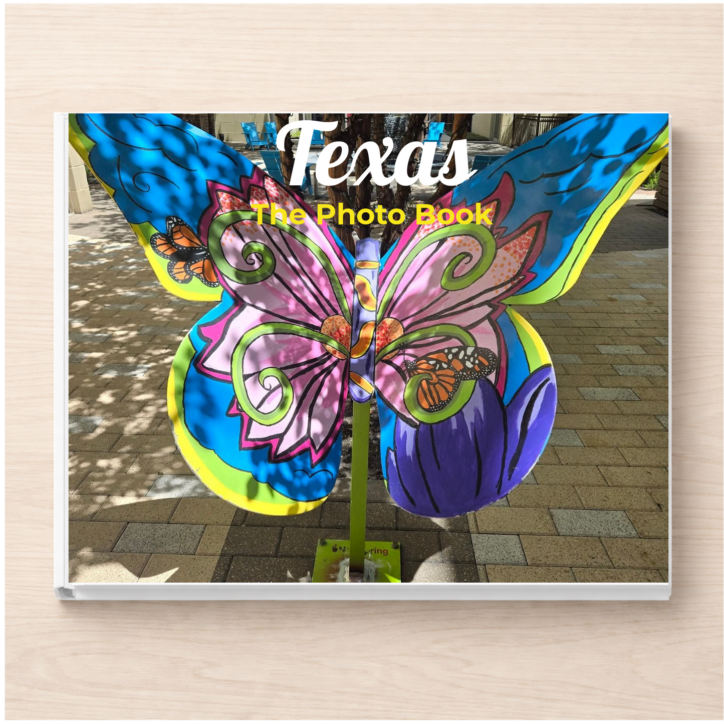 Texas: The Photo Book