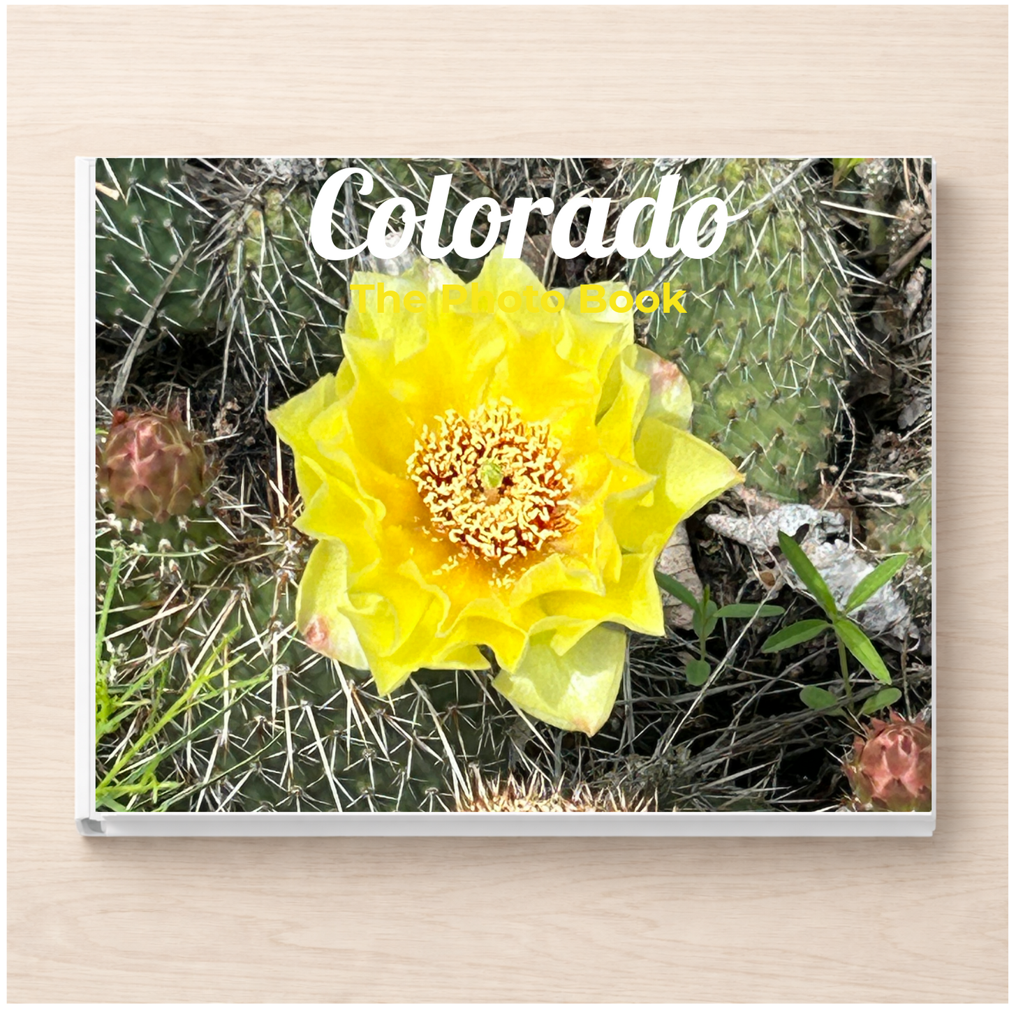 Colorado: The Photo Book