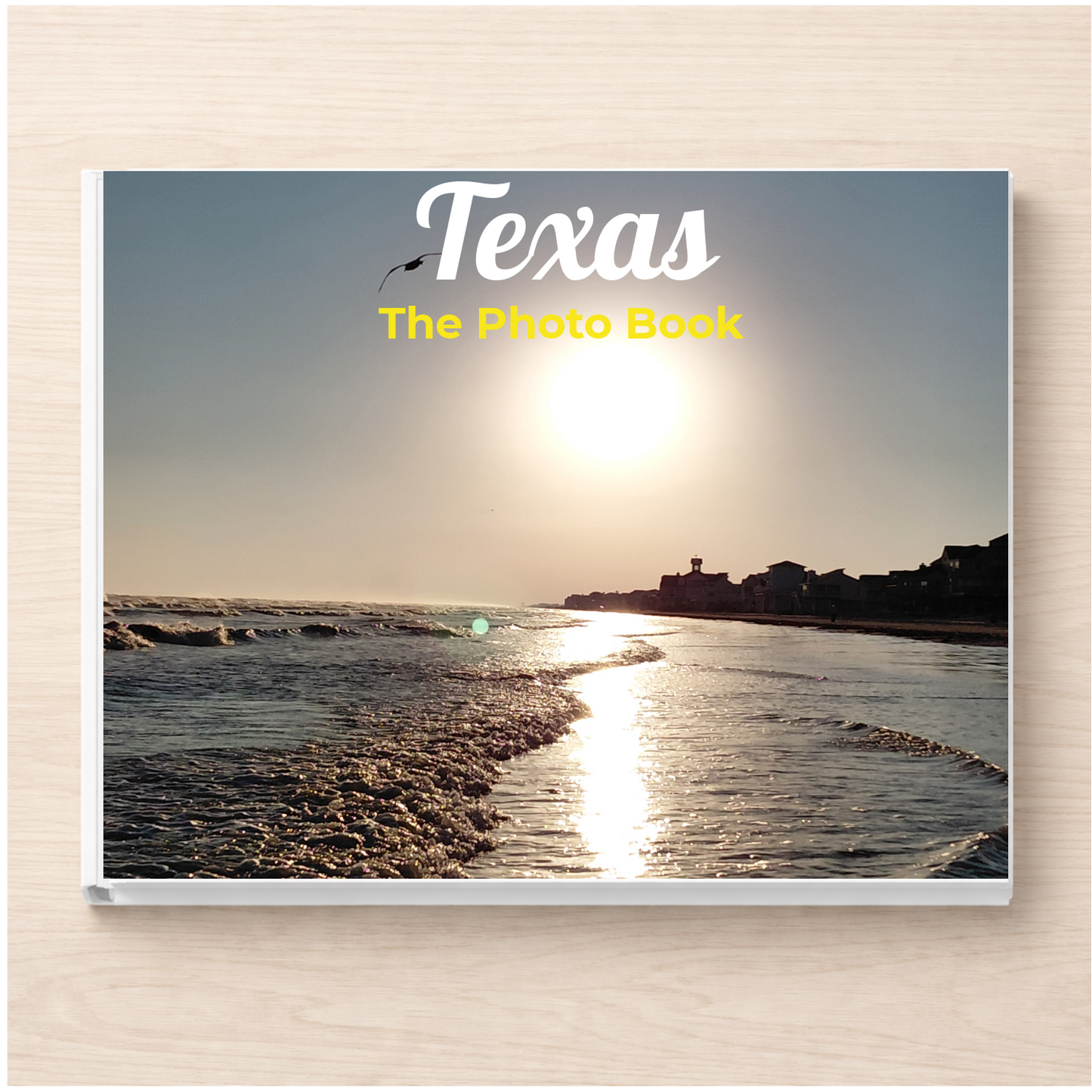 Texas: The Photo Book