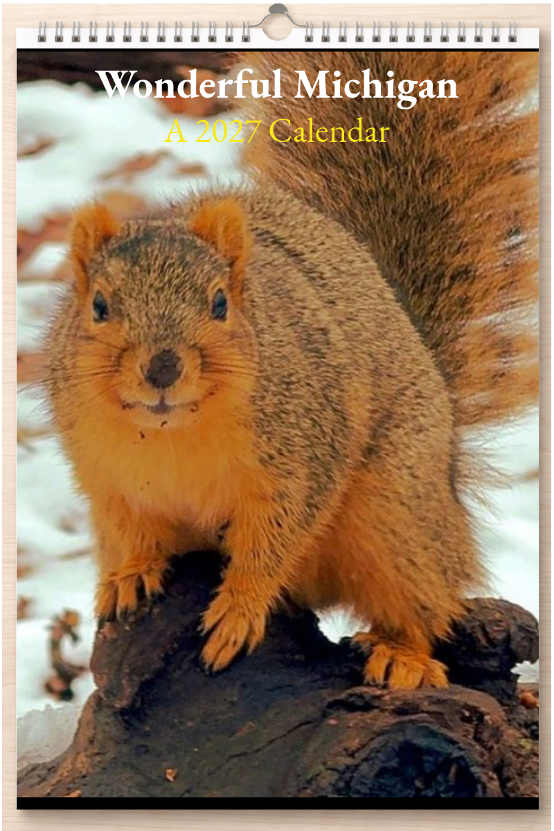 Wonderful Michigan: A 2027 Calendar