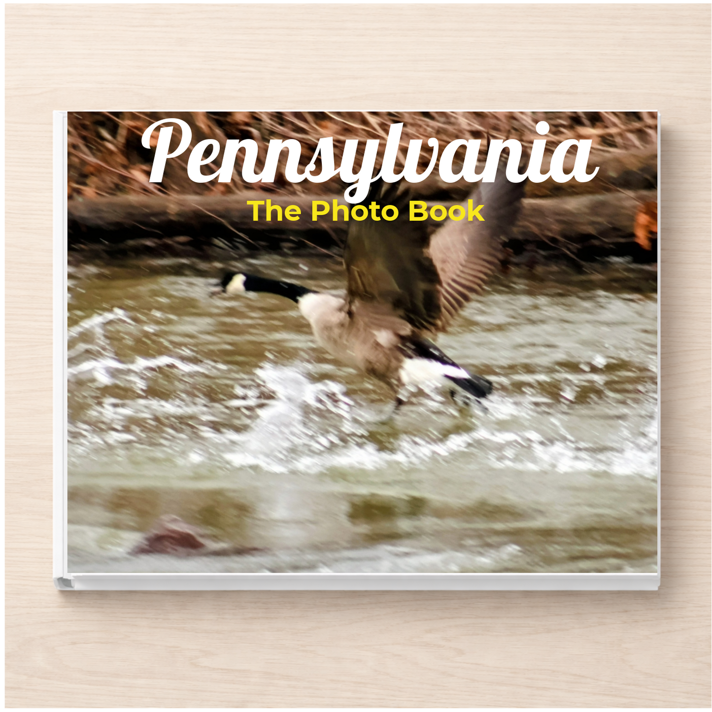 Pennsylvania: The Photo Book