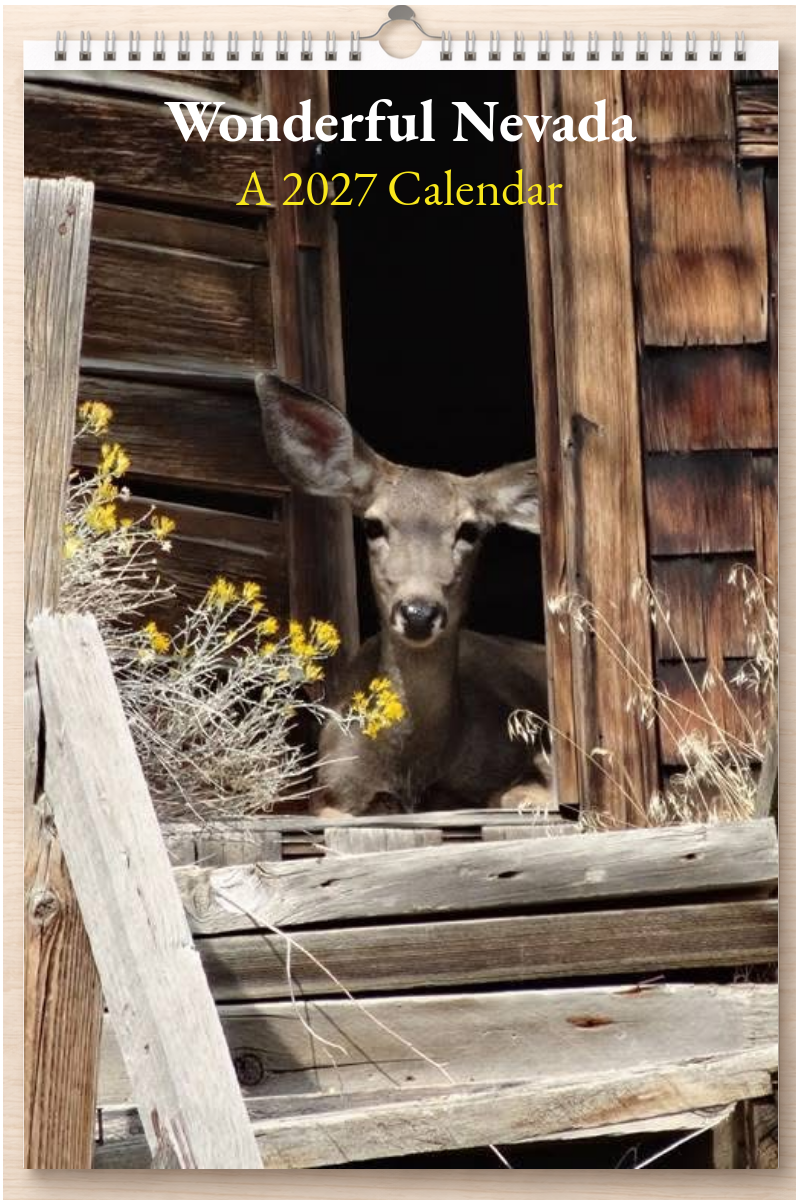 Wonderful Nevada: A 2027 Calendar
