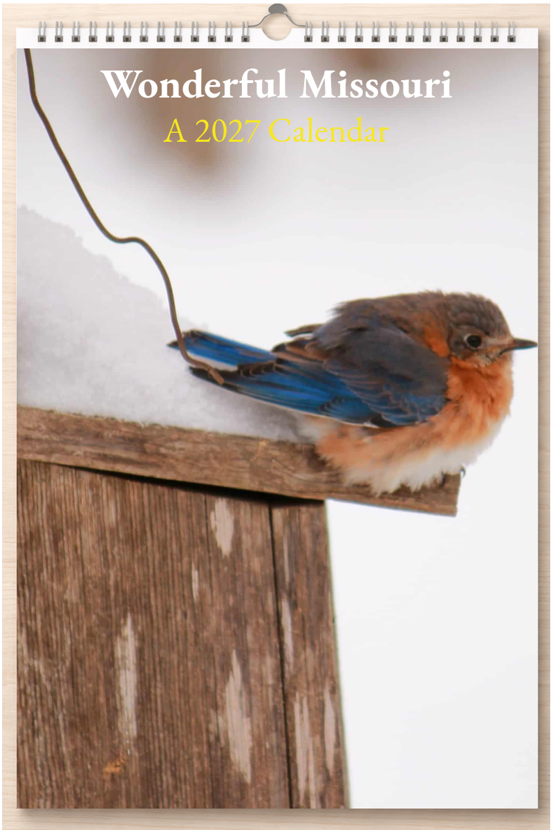 Wonderful Missouri: A 2027 Calendar