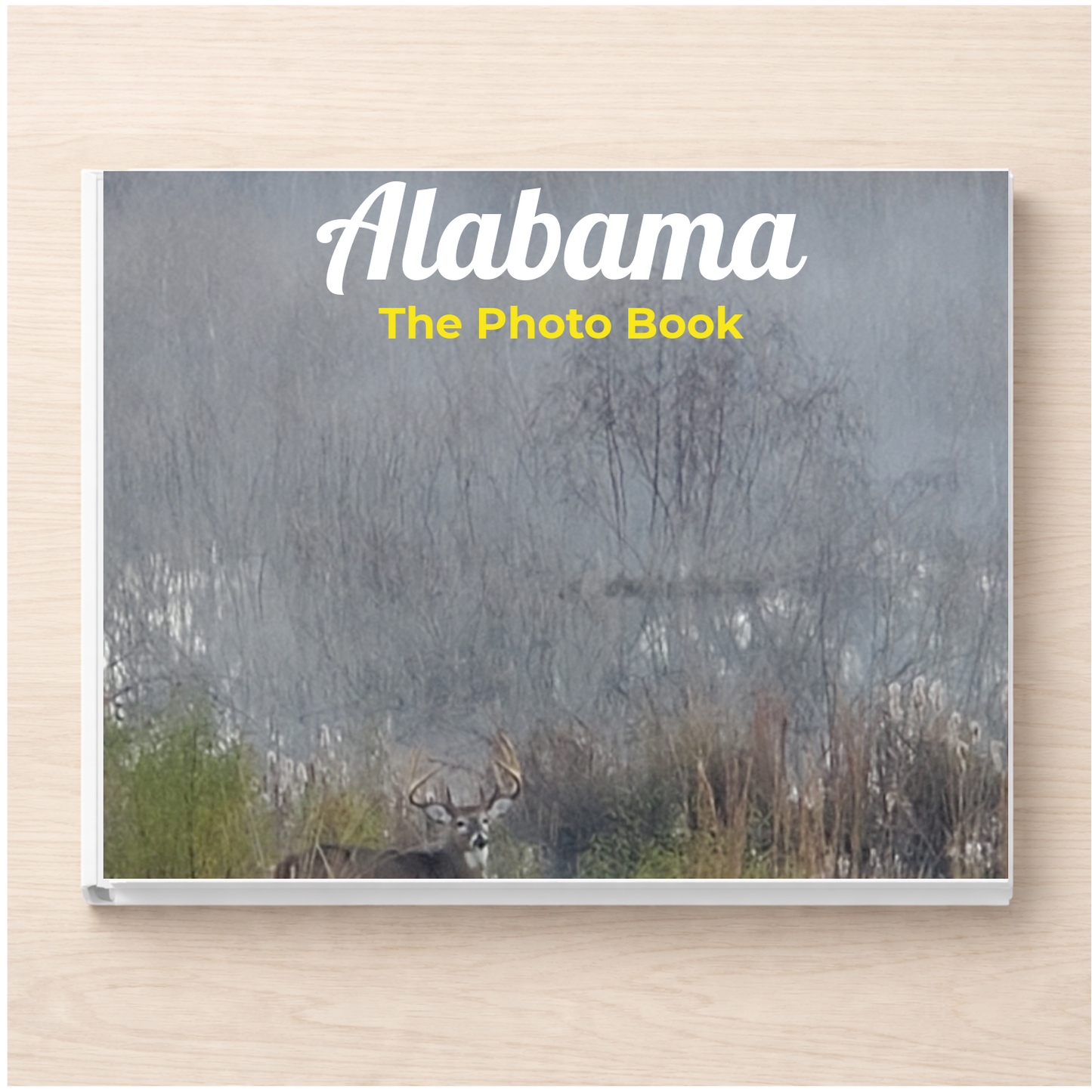 Alabama: The Photo Book