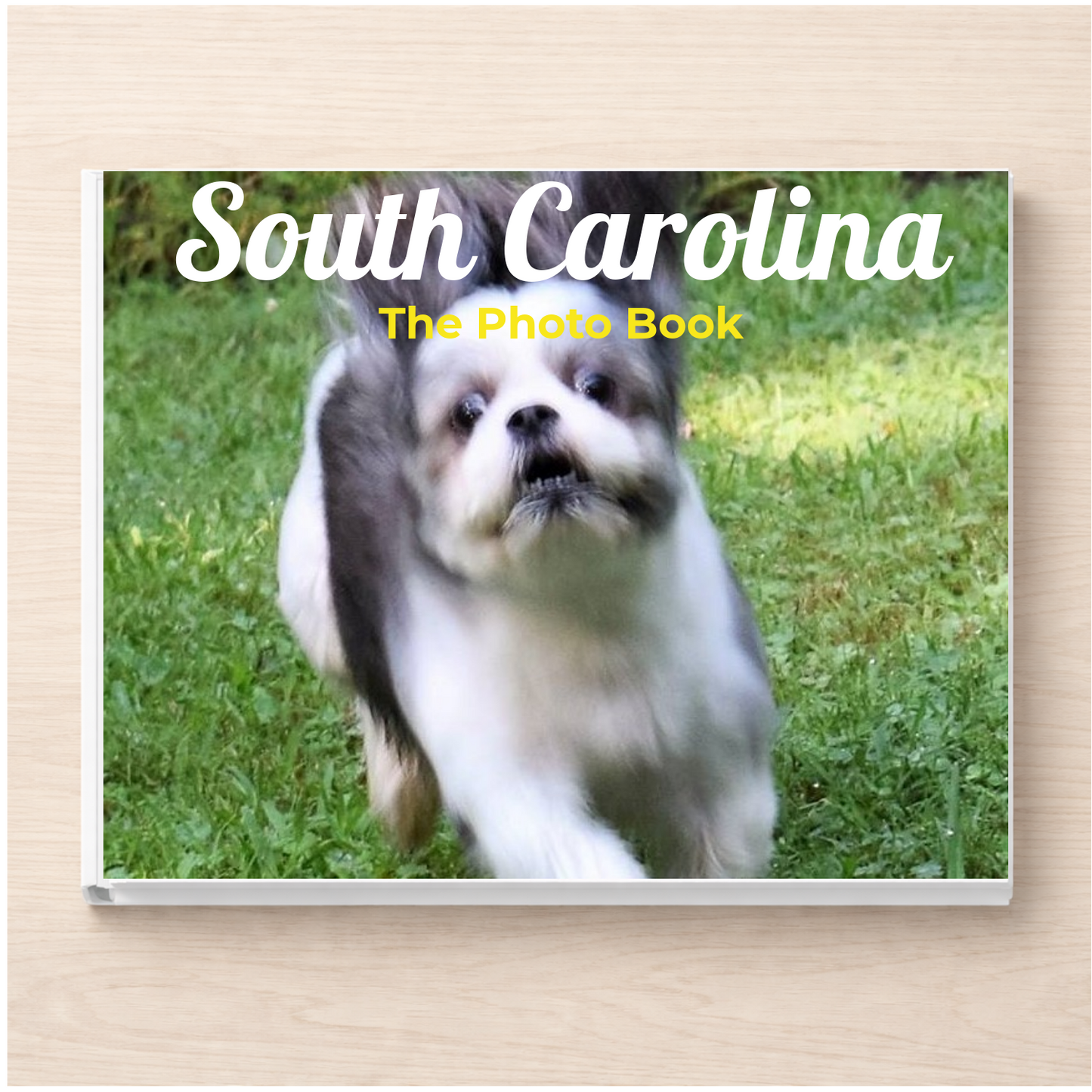 South Carolina: The Photo Book