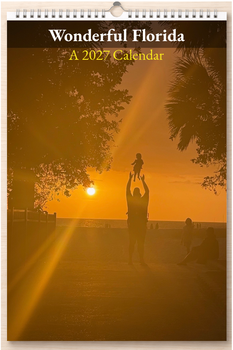 Wonderful Florida: A 2027 Calendar