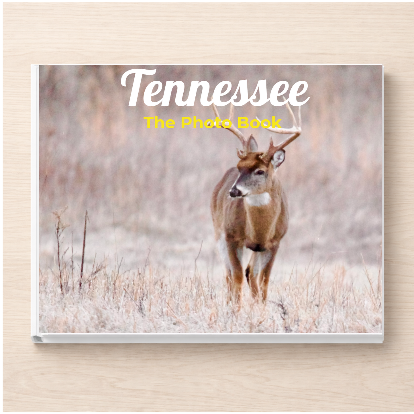 Tennessee: The Photo Book