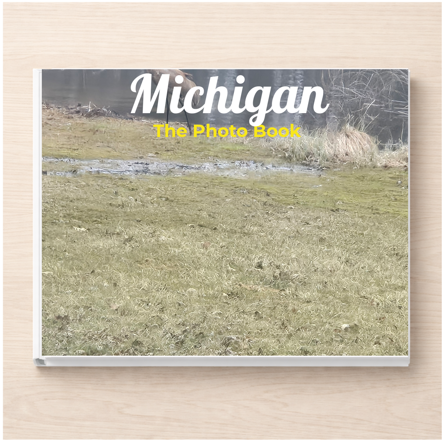 Michigan: The Photo Book