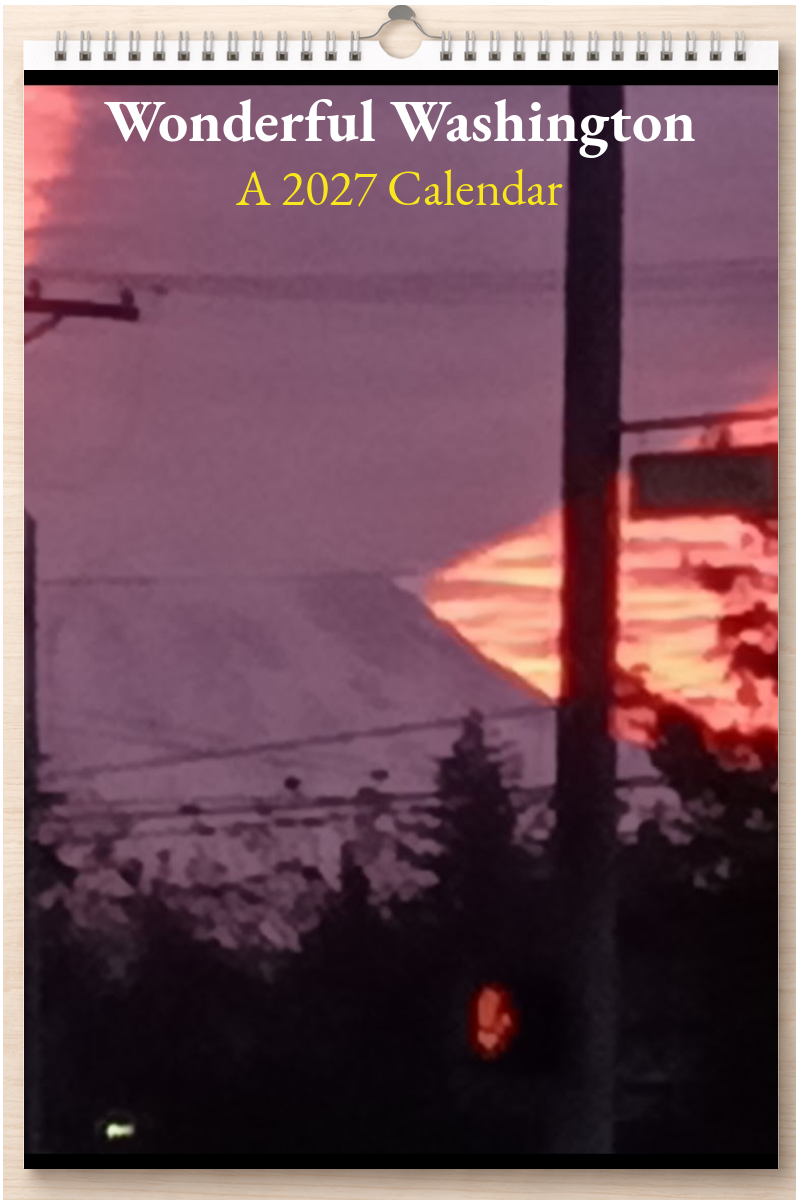 Wonderful Washington: A 2027 Calendar