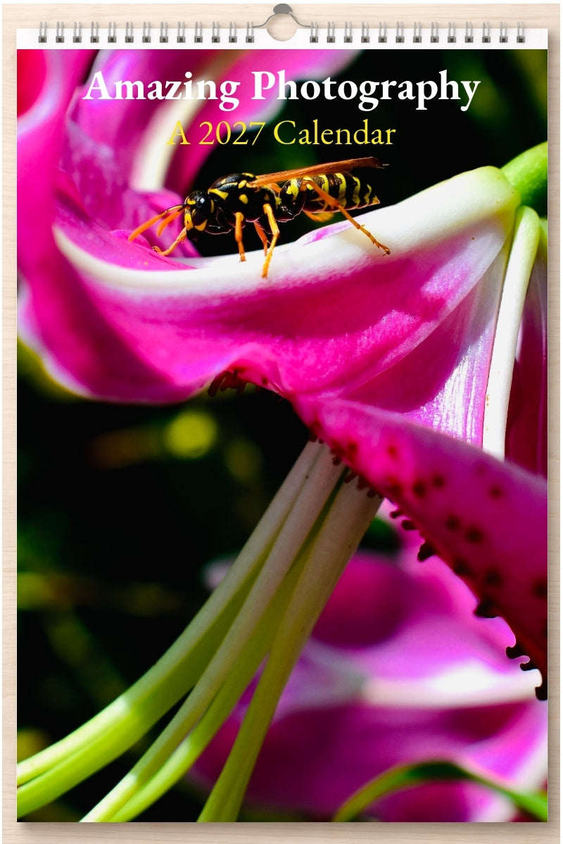 Amazing Photography: A 2027 Calendar