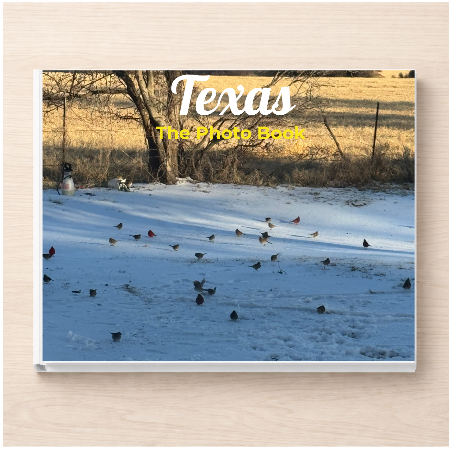 Texas: The Photo Book
