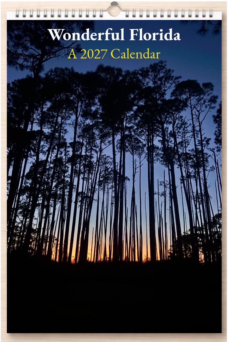 Wonderful Florida: A 2027 Calendar