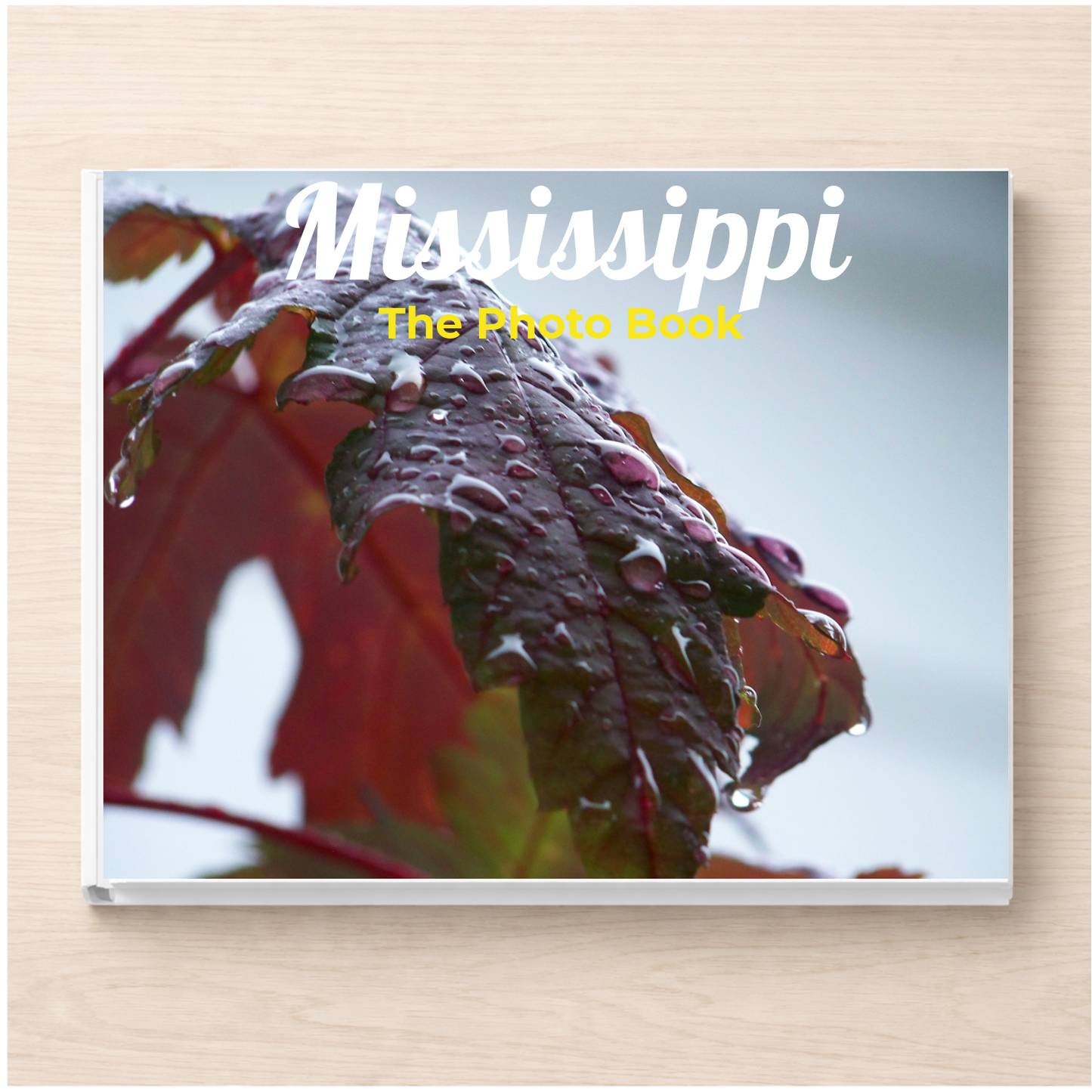 Mississippi: The Photo Book