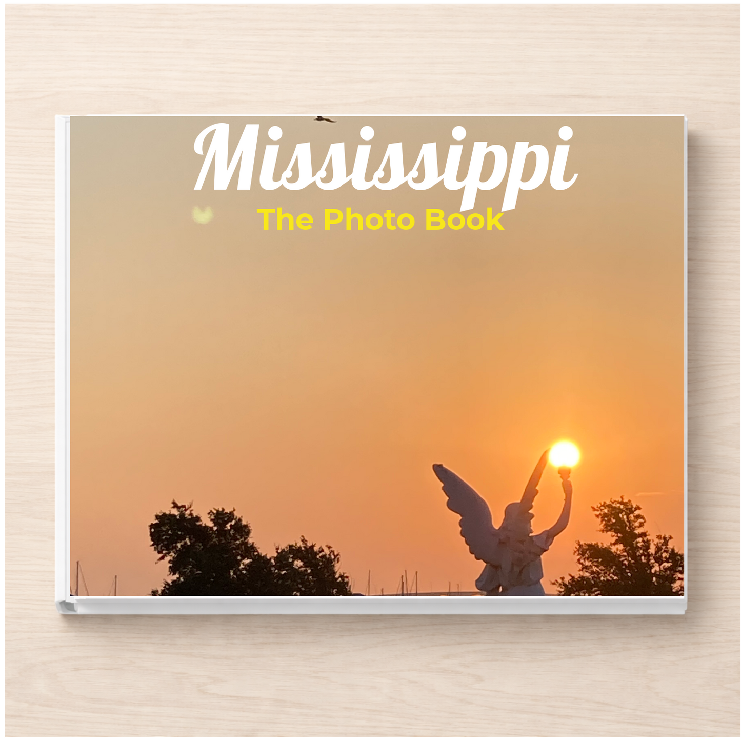 Mississippi: The Photo Book