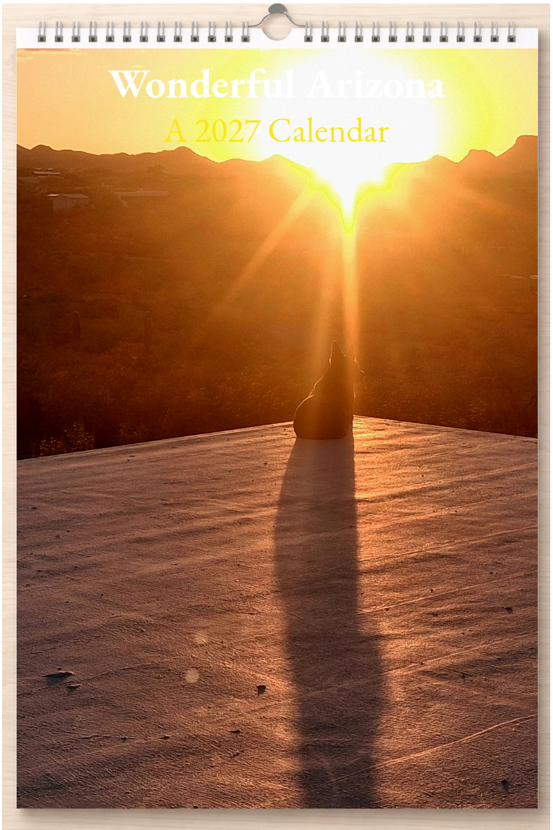 Wonderful Arizona: A 2027 Calendar