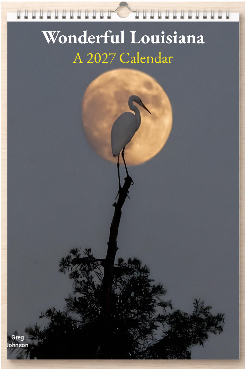 Wonderful Louisiana: A 2027 Calendar