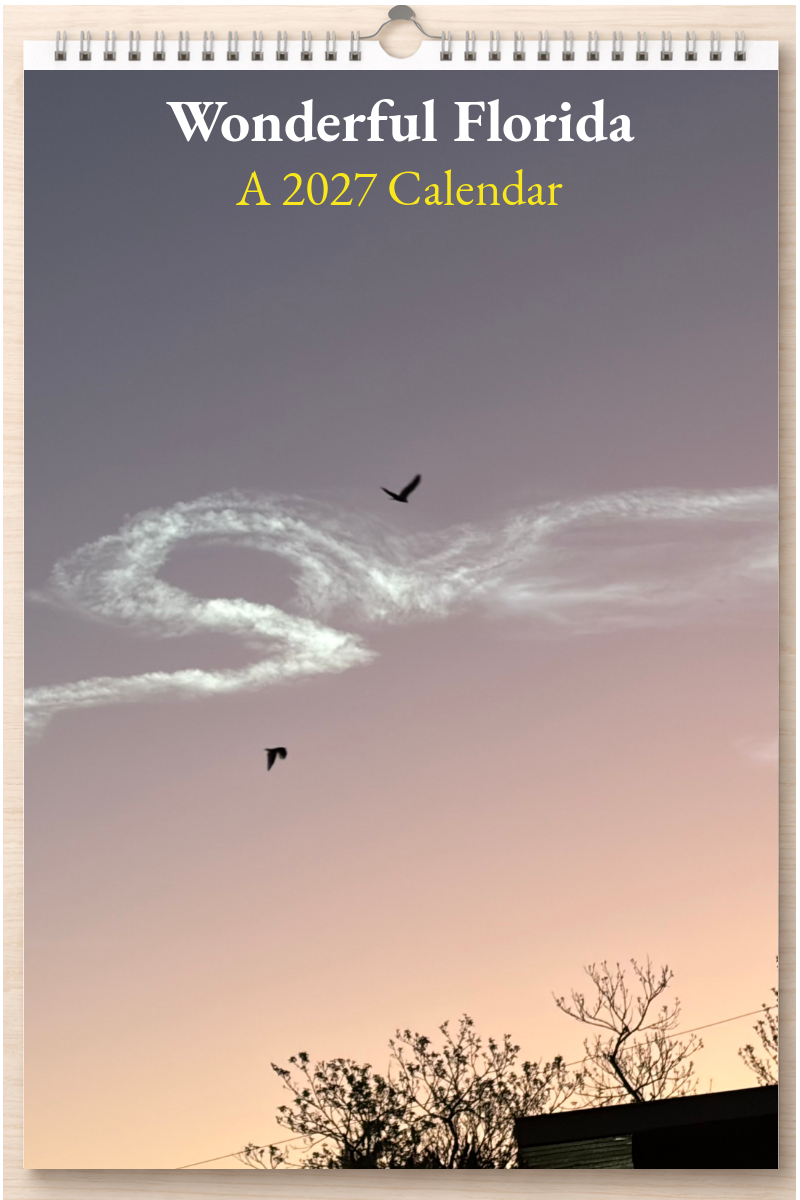 Wonderful Florida: A 2027 Calendar