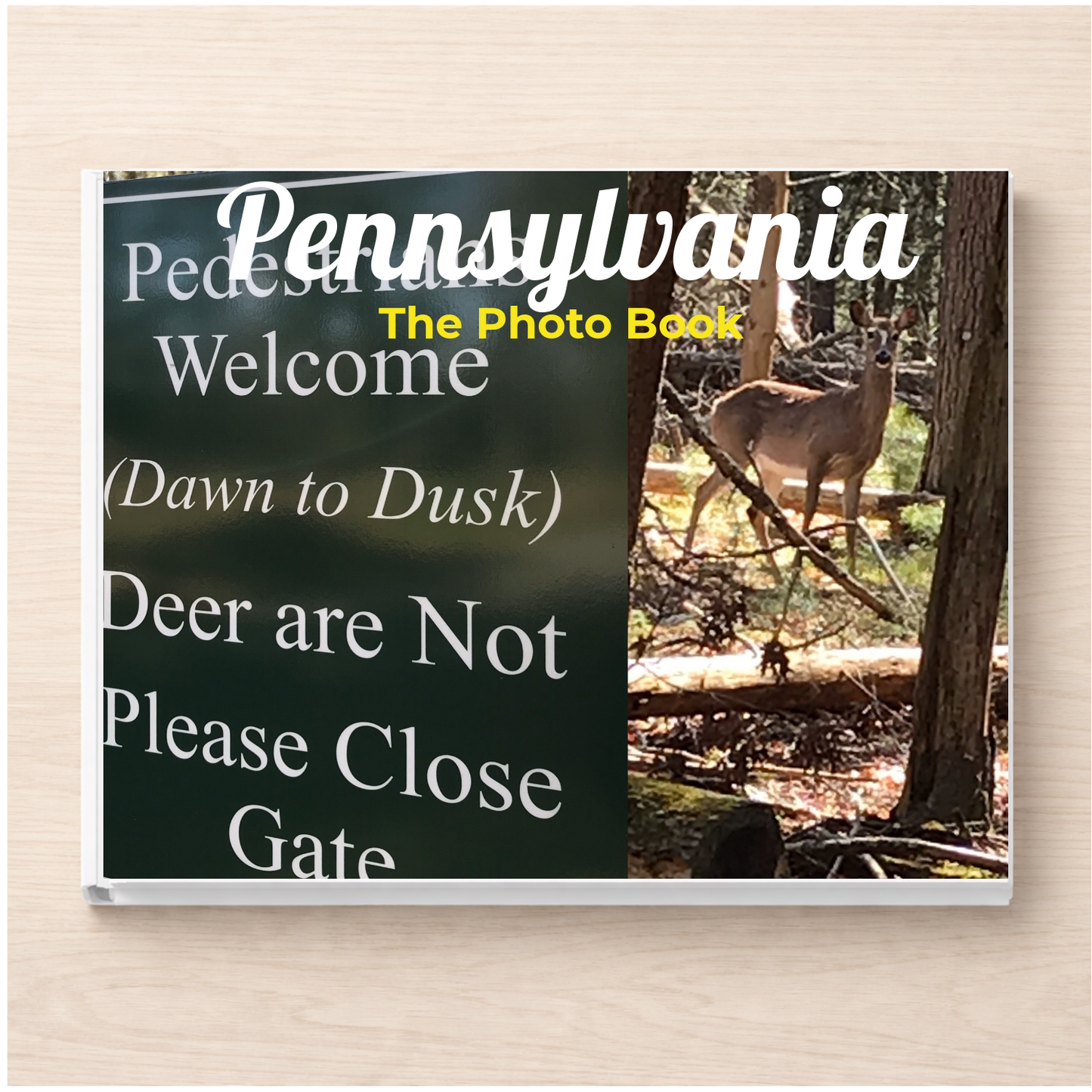 Pennsylvania: The Photo Book