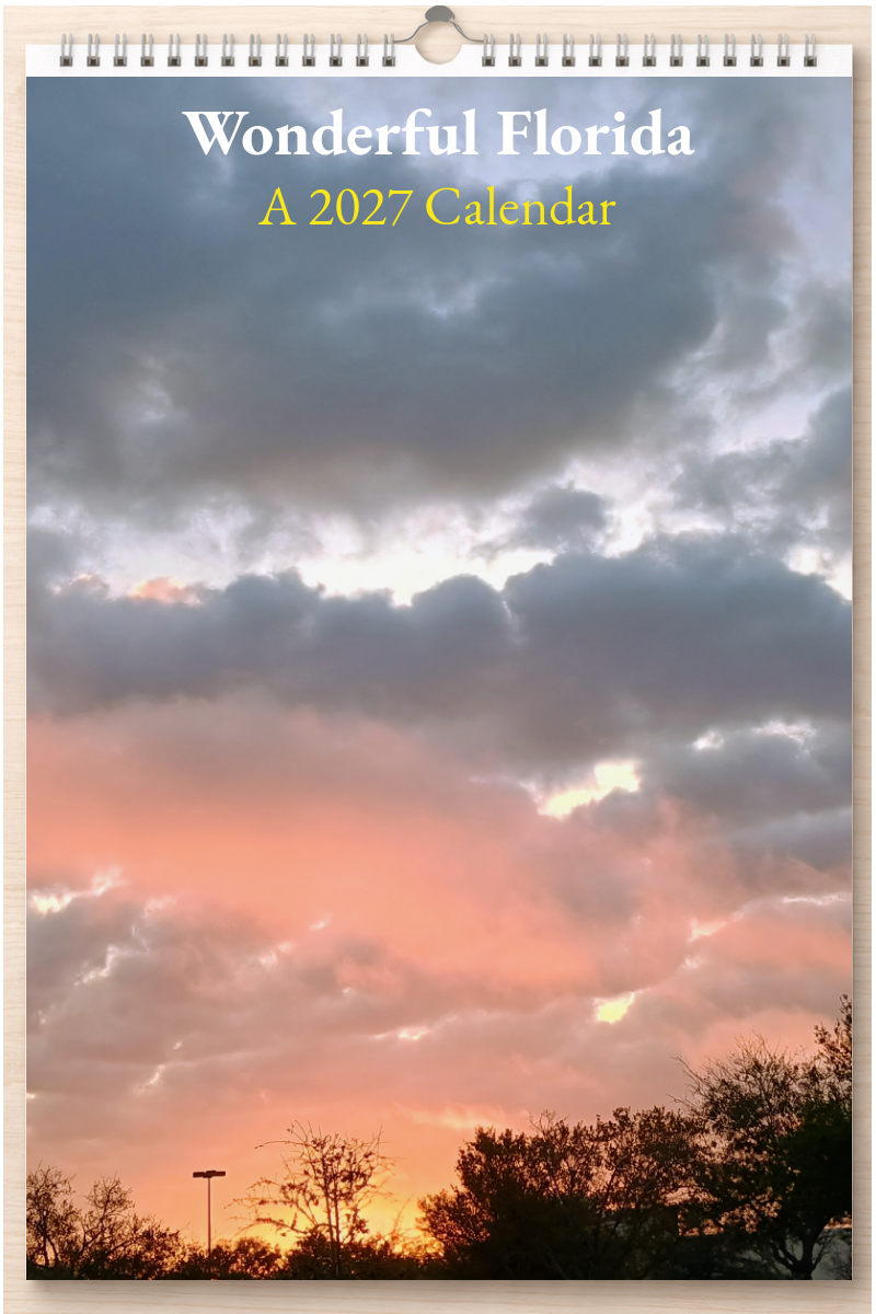 Wonderful Florida: A 2027 Calendar