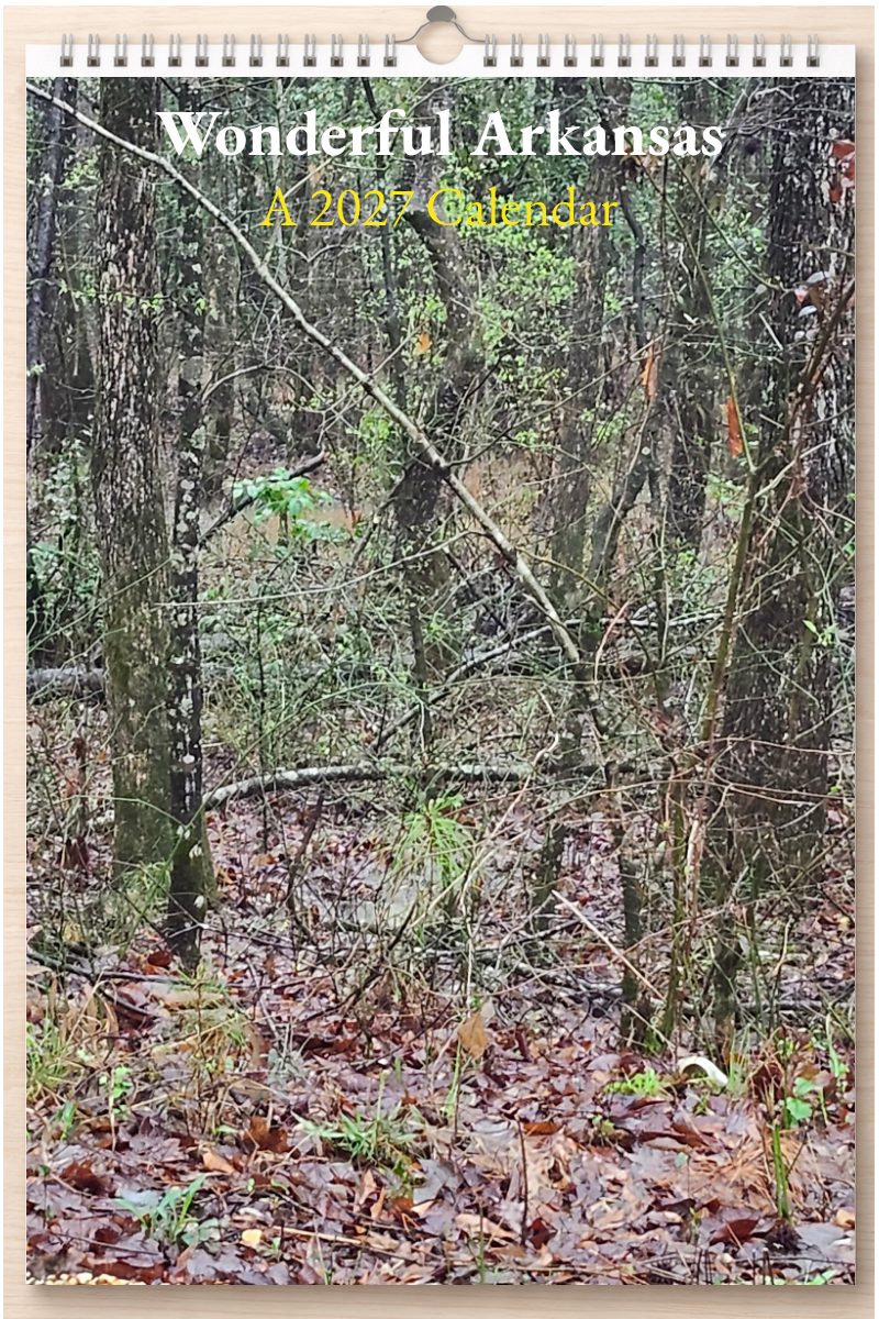 Wonderful Arkansas: A 2027 Calendar