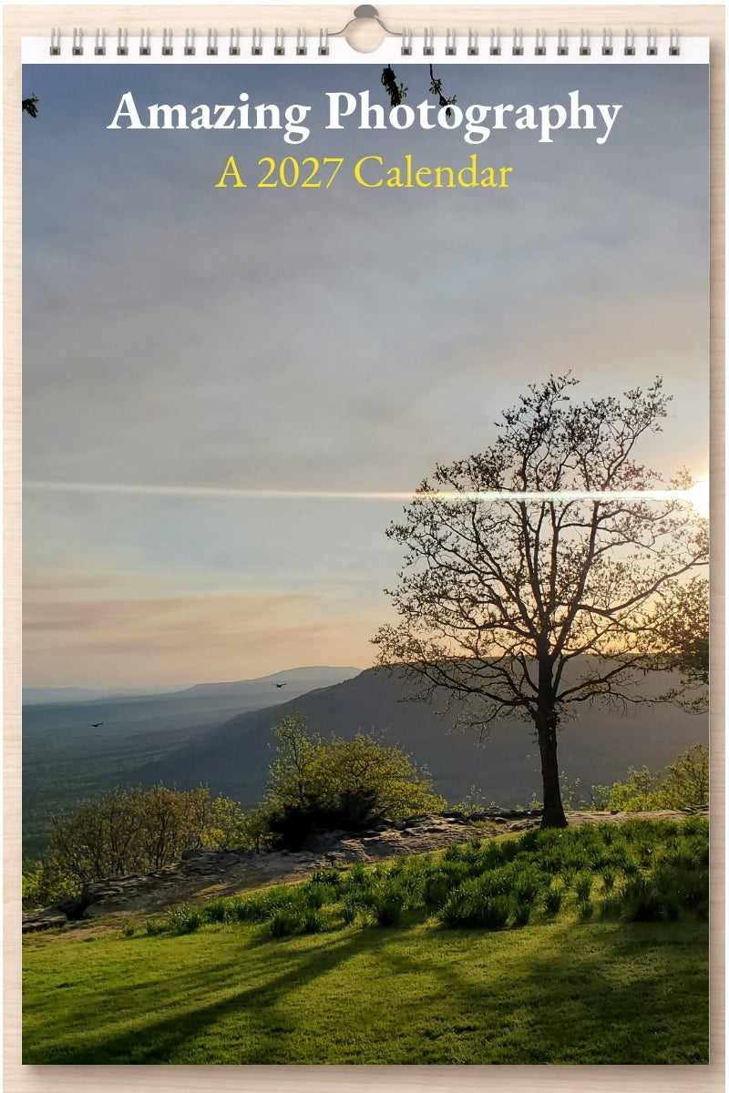 Amazing Photography: A 2027 Calendar