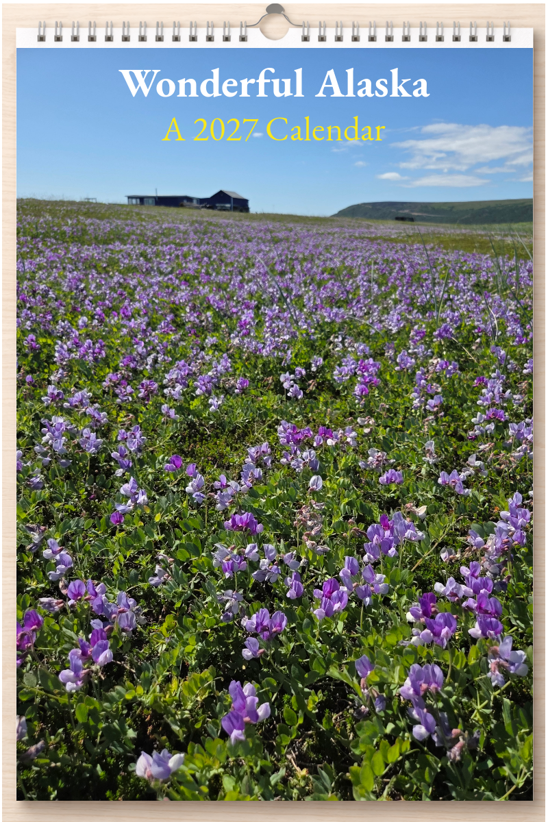 Wonderful Alaska: A 2027 Calendar