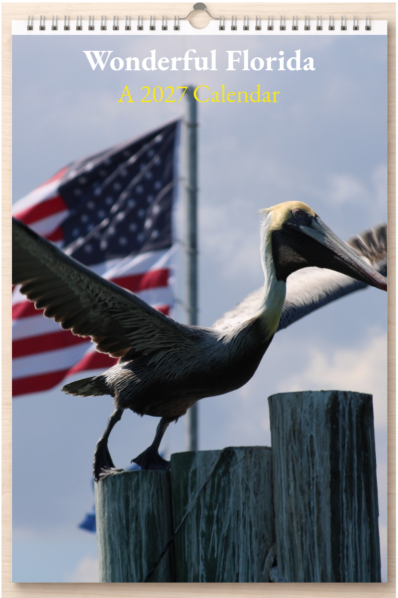 Wonderful Florida: A 2027 Calendar