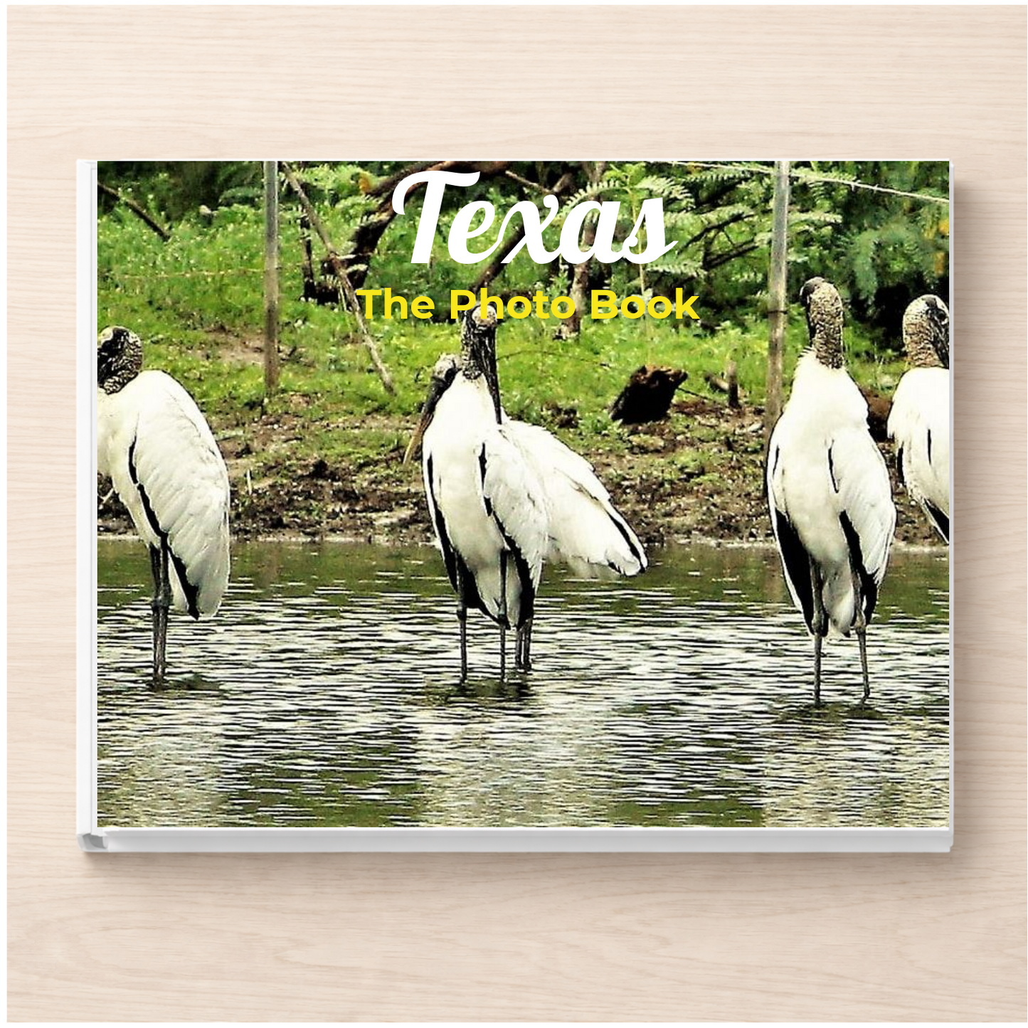 Texas: The Photo Book