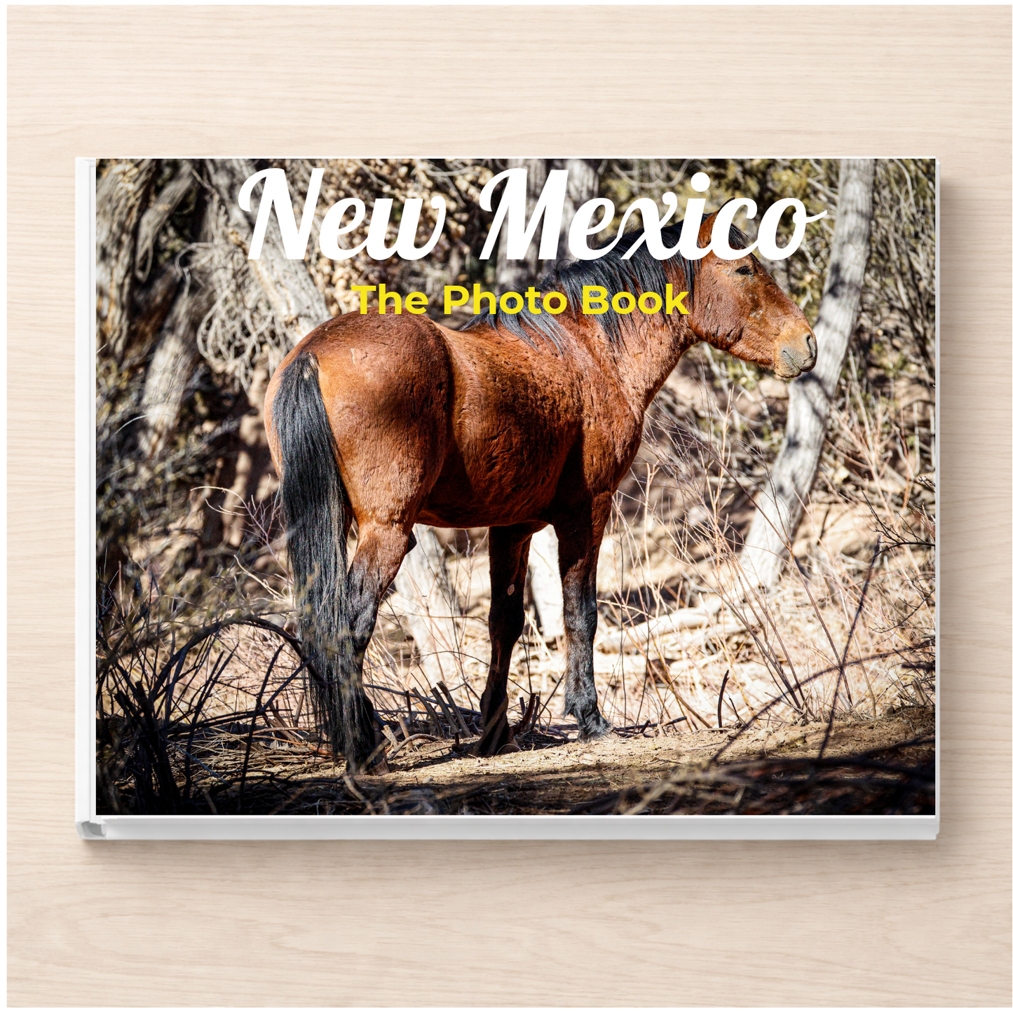 New Mexico: The Photo Book
