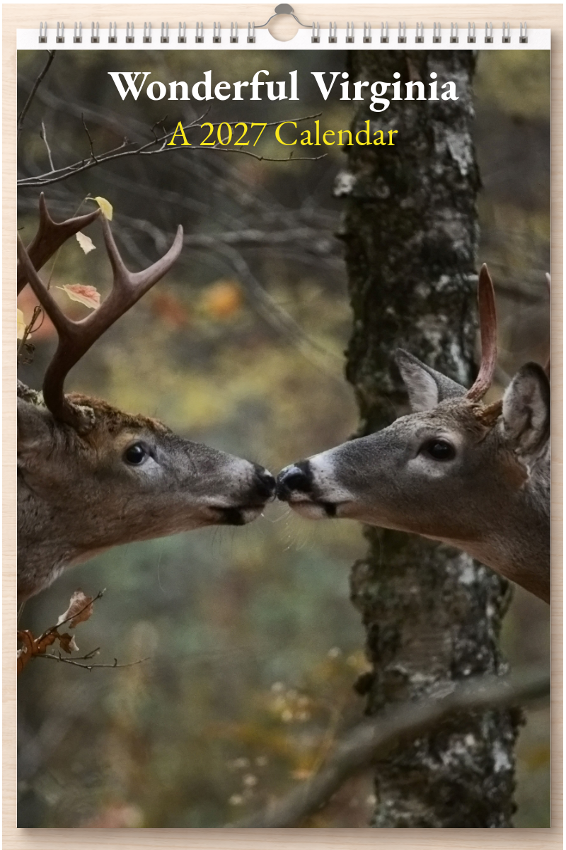 Wonderful Virginia: A 2027 Calendar