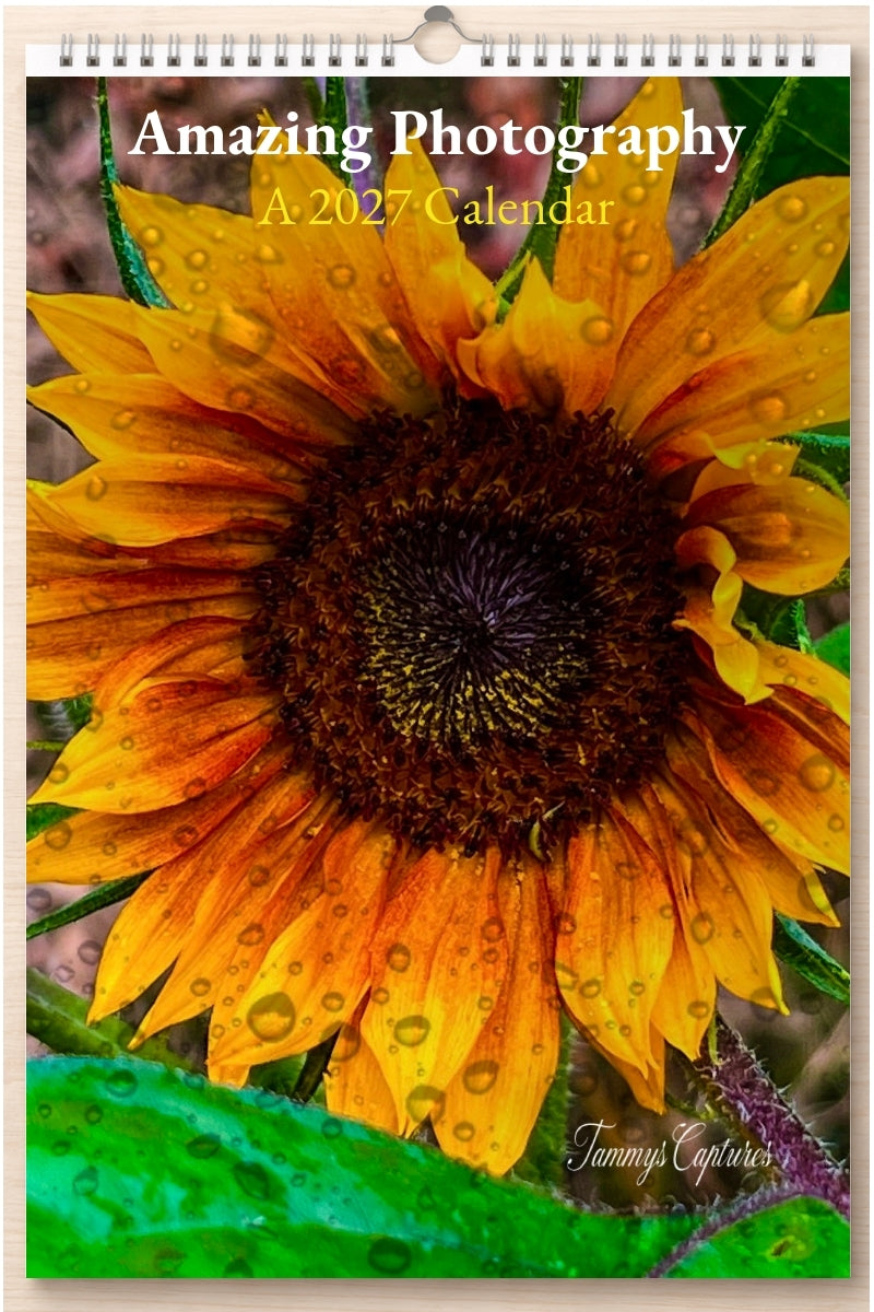 Amazing Photography: A 2027 Calendar