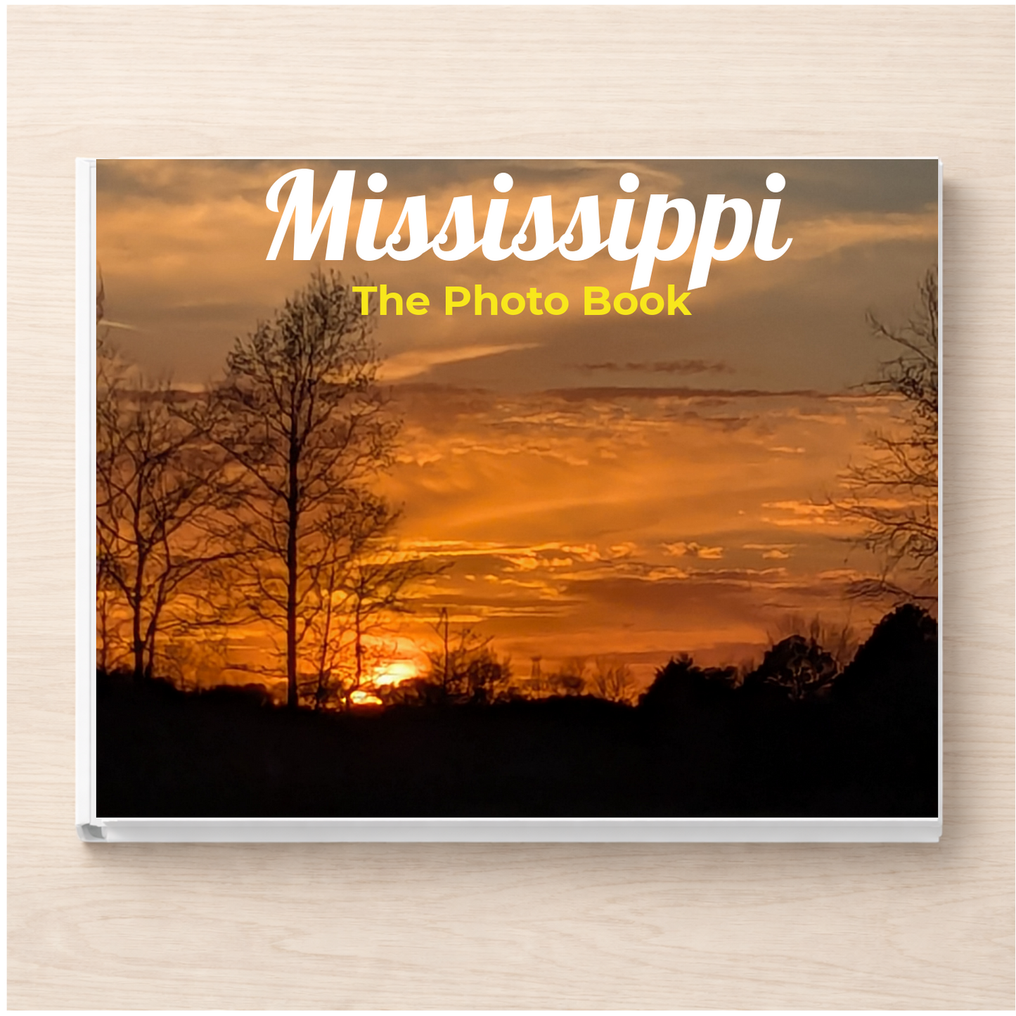 Mississippi: The Photo Book