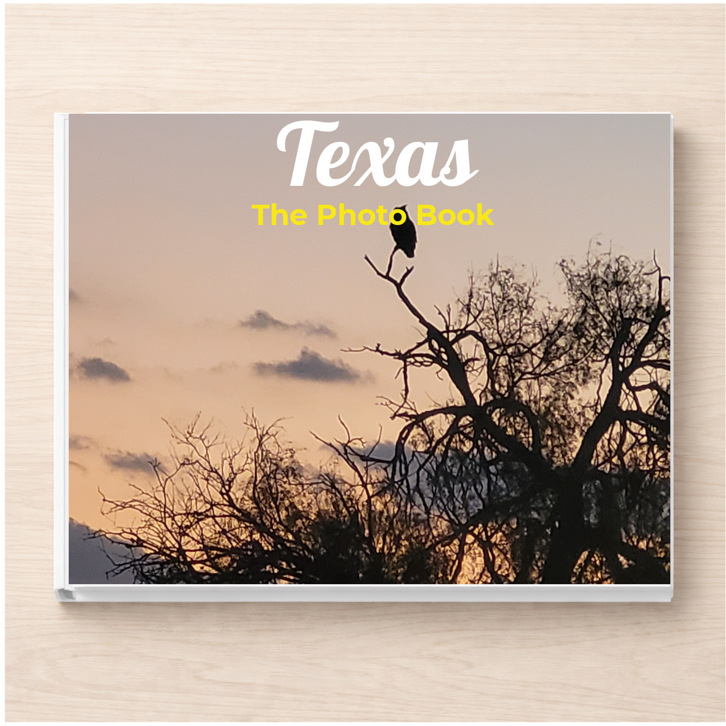 Texas: The Photo Book