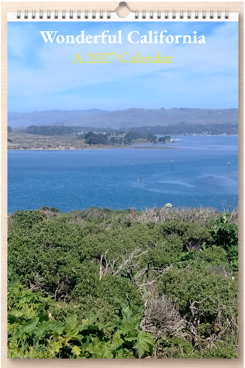 Wonderful California: A 2027 Calendar