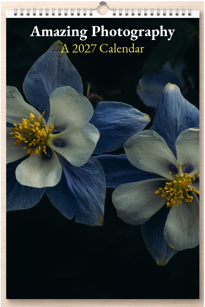 Amazing Photography: A 2027 Calendar