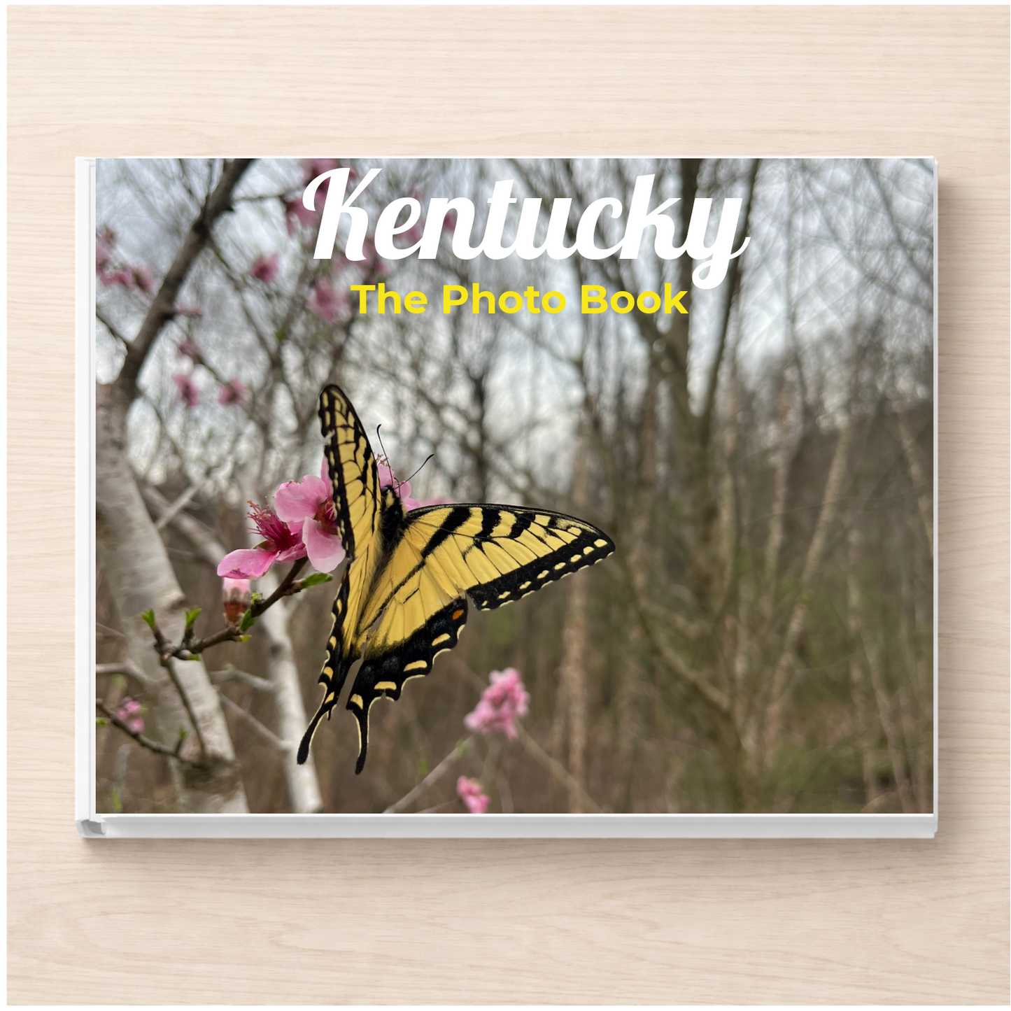 Kentucky: The Photo Book